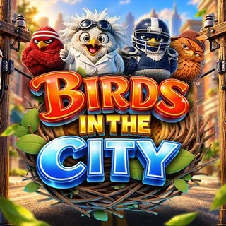 Birds in The City